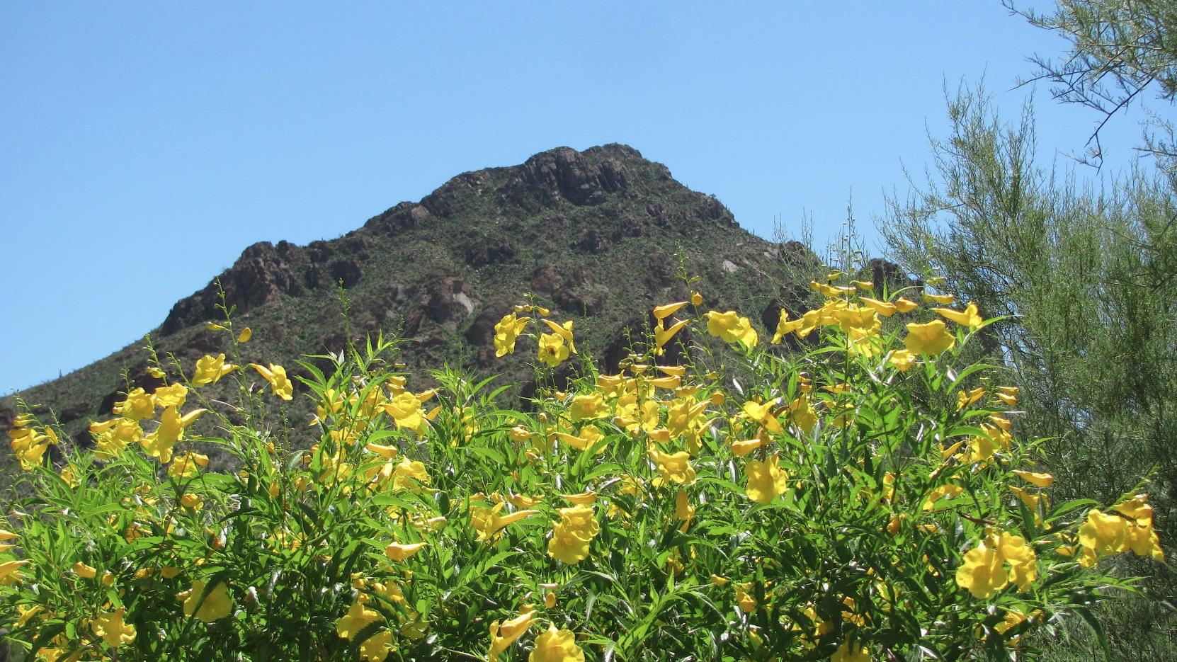 Tucson weather: Dry conditions and above average heat